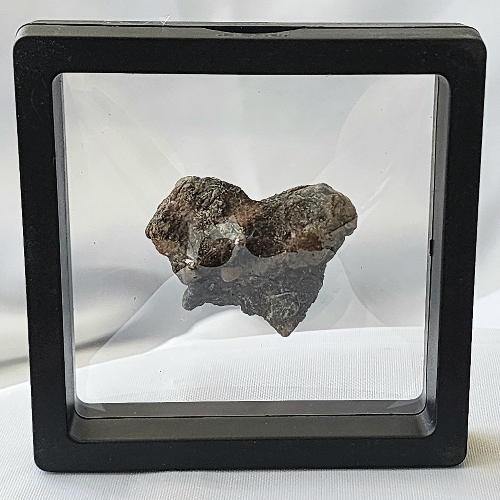 Unique Heart Shaped Late Cretaceous Period Fossil Cluster in Matrix Display Rare